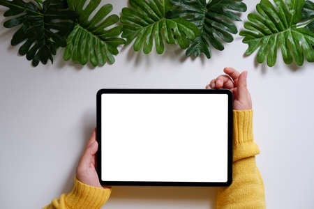 Woman using a mobile phone, blank screen on a white desk with green leavesの写真素材