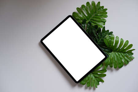 Digital tablet, blank screen and leaves on a white tableの写真素材