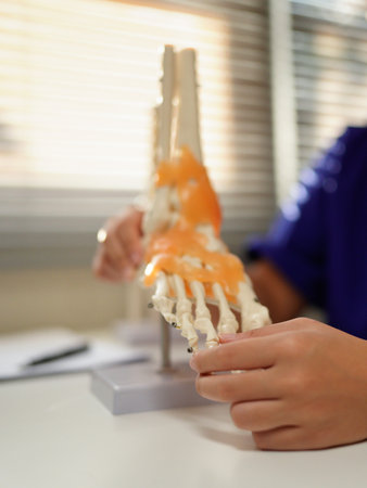 Anatomical foot skeleton model in doctor hands close-up, while consultation in orthopedic clinic. Traumatology, treatment of leg injuries.の写真素材