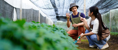 Happy male and female gardener smiling inspects quality of vegetable in greenhouse garden..の写真素材