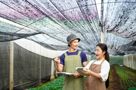 Two young farmer male And female standing at greenhouse to calculate production in field. vegetable ready to harvest. Agriculture concept..の写真素材