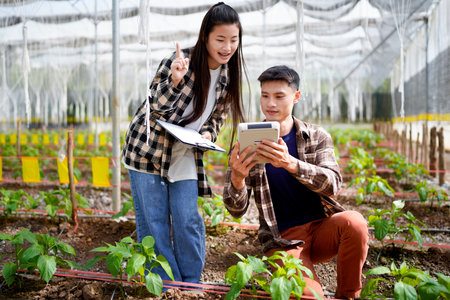Two young farmer male And female standing at greenhouse to calculate production in field. vegetable ready to harvest. Agriculture concept..の写真素材