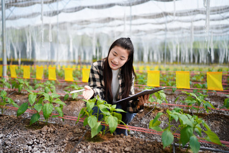 agriculture and greenhouse with plant production for harvest, crops or food. Female person, farmer...