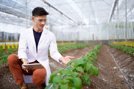 Agricultural developer man trying different apps on tablet computer for inspection of greenhouse farm. Organic plantation. Greenery.の写真素材