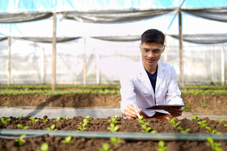 Agricultural developer man trying different apps on tablet computer for advanced inspection of greenhouse farm. Organic plantation. Greenery.の写真素材