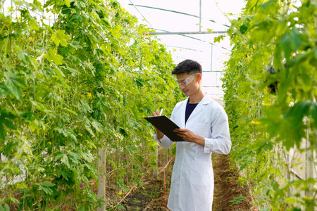 scientist wearing white lab coat analyzing quality of vegetable and plant and then writing results...