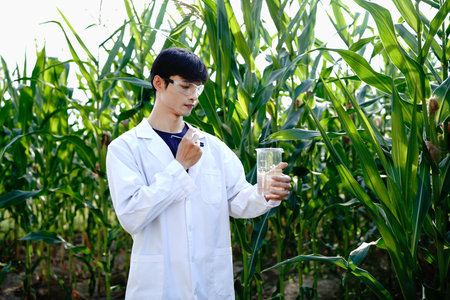 agricultural researcher man checking at water beaker thinking while working in corp farm, agricultural researchers test plants and water with scientific test tubes. with copy space.の写真素材
