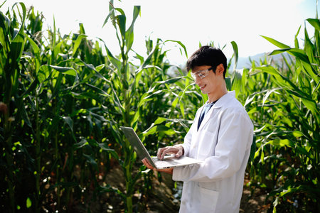 Agronomist standing in a corn field taking control of the yield and regard a plant with laptop.