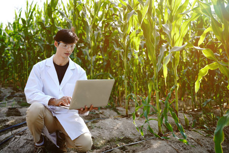 Agronomist in lap coat sitting in a corn field taking control of the yield and regard a plant with...