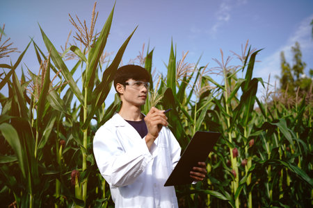 Agronomist in lab coat hold clipboard visit farm field work outdoor, Agronomist in a field inspecting crops, holding a clipboard and pen, recording agricultural data for sustainable farming.の写真素材