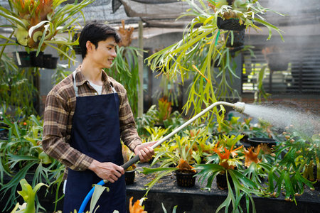 A gardener with a watering hose and a sprayer water working in greenhouse and watering fern. Gardening, growing and flower care concept. Selective focus.