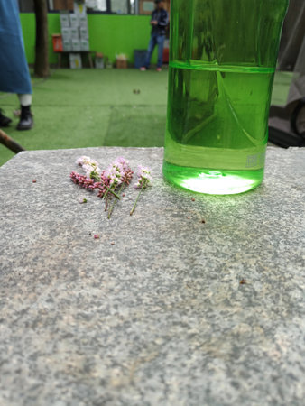 Bouquet of small pink flowers and green bottle of water on the concrete floorの写真素材