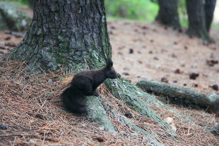 How did theの写真素材