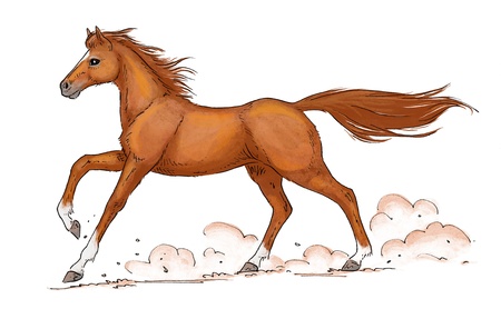 illustration of a galloping chestnut (sorrel) horseの写真素材