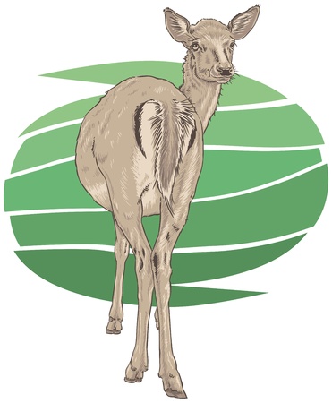 Red Deer Vector Illustrationのイラスト素材