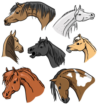 Horse Portrait Collectionのイラスト素材