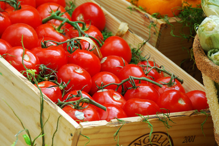 tomatoes のeditorial素材