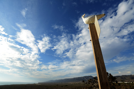 A pillar under the clear blue skyの写真素材