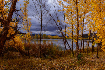 Autumn scenery of the Xar Moron Riverの写真素材