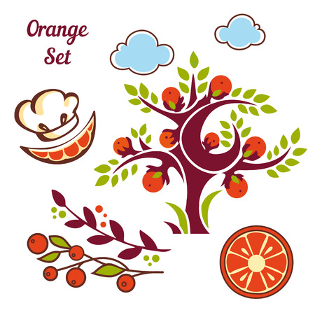 Orange setのイラスト素材