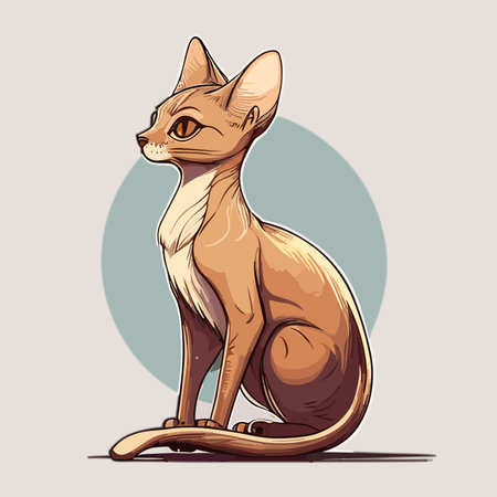 Sphynx cat. Vector illustration of a sphinx cat.のイラスト素材