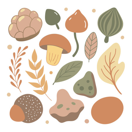 Set of different autumn leaves and mushrooms. Hand drawn vector illustration.のイラスト素材