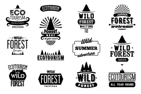 Vector Set of Wild Forest and Ecotourism typographic retro labels, vintage badges and logo signs.のイラスト素材