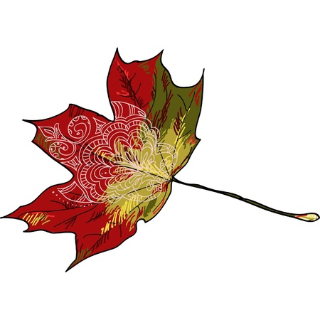 Maple leafのイラスト素材