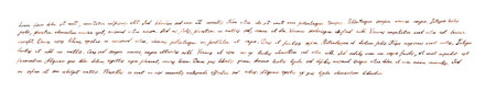 Hand written horizontal banner text - latin note Lorem ipsum, retroの写真素材