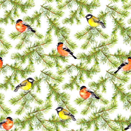 Watercolor hand painted seamless repaeting pattern with birds in pine branchesの写真素材
