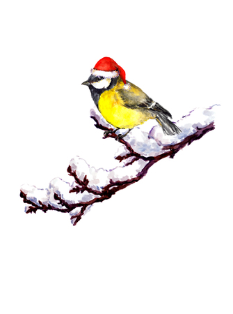 Romantic christmas card with bird in red santa hatの写真素材