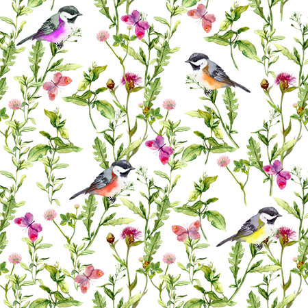 Meadow with butterflies, birds and herbs. Seamless watercolor floral pattern.の写真素材