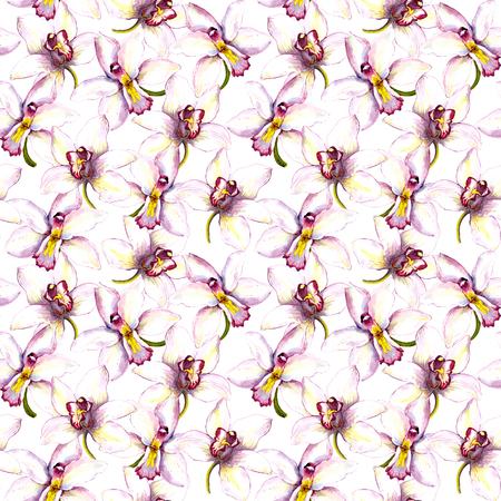 Seamless floral background with orchid flowers. Hand painted watercolor drawingの写真素材