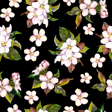 Seamless floral template with aquarelle painted apple and cherry flowers blossom, isolatedの写真素材