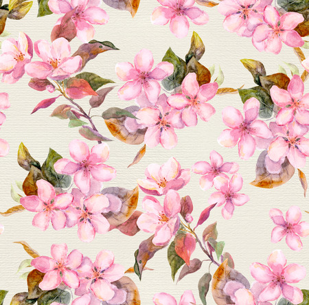 Seamless floral template with aquarelle painted apple and cherry flowers blossoming, isolatedの写真素材