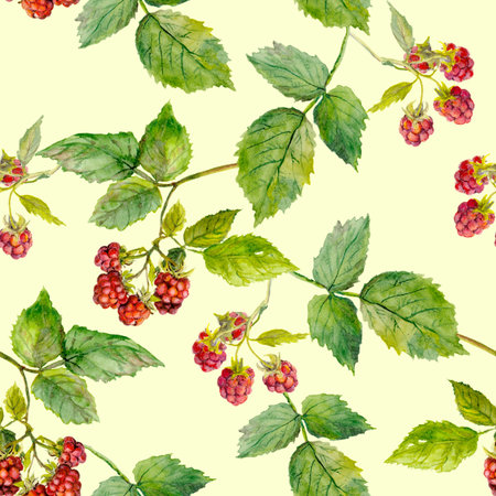 Seamless pattern with hand painted raspberry, floral backgroundの写真素材