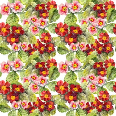 Primrose flowers. Seamless floral background. Watercolor hand madeの写真素材