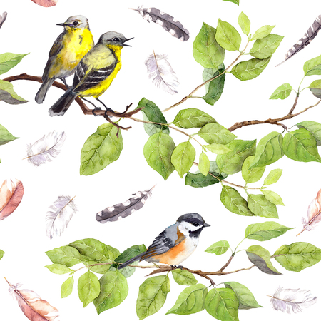 Birds on branch and feathers. Seamless repeating pattern. Watercolorの写真素材