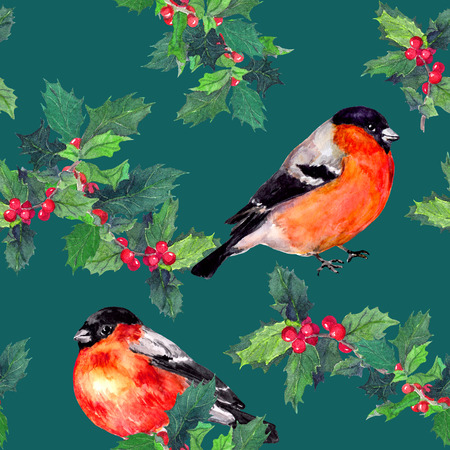 Holly branches and finch birds. Watercolor repeated patternの写真素材