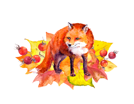 Cute fox in autumn leaves. Watercolorの写真素材