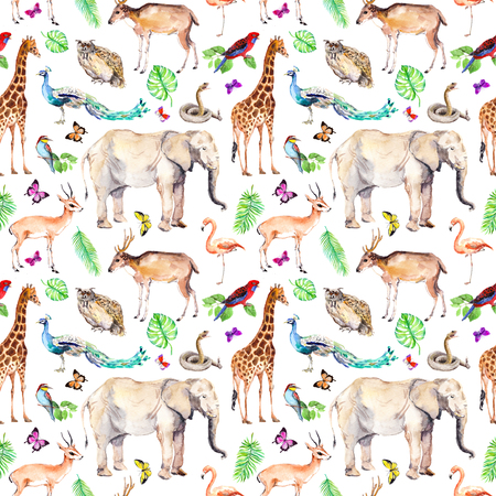 Wild animals, birds in forest - zoo, wildlife. Seamless animal pattern. Watercolorの写真素材