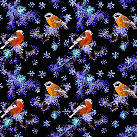 Night birds, fir tree branches, snow flakes. Seamless black background. Winter watercolorの写真素材