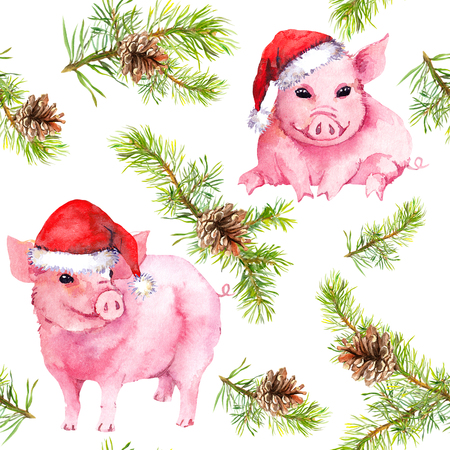 Cute pigs in red holiday hats, christmas tree branches. Seamless pattern for New Year. Watercolorの写真素材