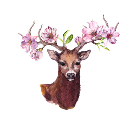 Deer animal head with pink apple, spring cherry flowers, flowering sakura in horns. Watercolorの写真素材