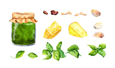 Set for basil pesto sauce: jar, fresh basil leaves, garlic, cheese, pine nuts. Watercolor food collectionの写真素材