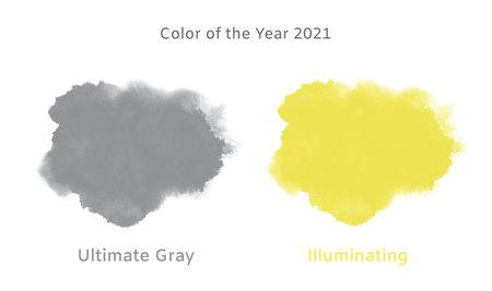 Colors of Year 2021 - Ultimate Gray, Illuminating.の写真素材