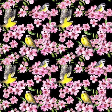 Birds in spring flowers of apple. Seamless floral pattern with pink cherry blossom on dark background . Watercolor textureの写真素材