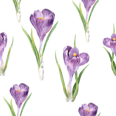 Spring crocus flower. Seamless pattern. Floral watercolorの写真素材
