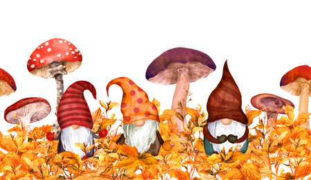 Gnomes with mushrooms in autumn grass. Watercolor seasonal plants, family of scandinavian dwarves. Seamless natural frameの写真素材
