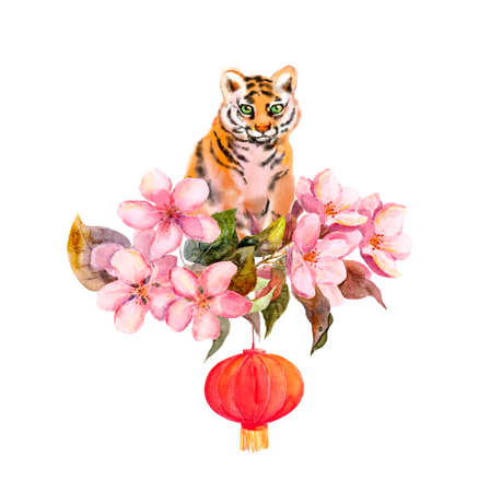 Adorable tiger pet in plum, peach flowers with asian red holiday lantern. Watercolor illustration - animal of chinese new year 2022.の写真素材